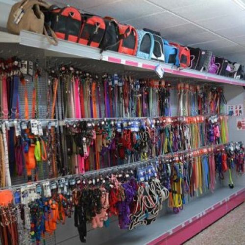 tiendas de mascotas en Vila real
