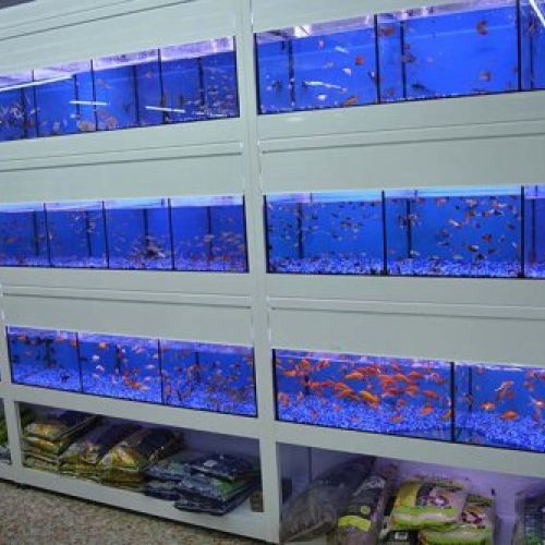 tiendas de mascotas Vila real