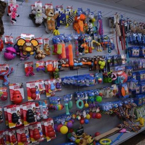 tienda de mascotas en Vila real